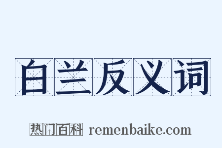 白兰反义词是什么意思的图片
